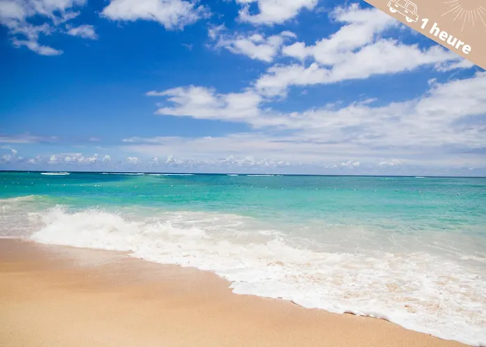 Le Chapitre Avec Jardin - Centre Historique * Nîmes